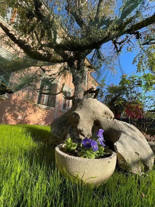 パドヴァ Casa Argiaヴィラ エクステリア 写真